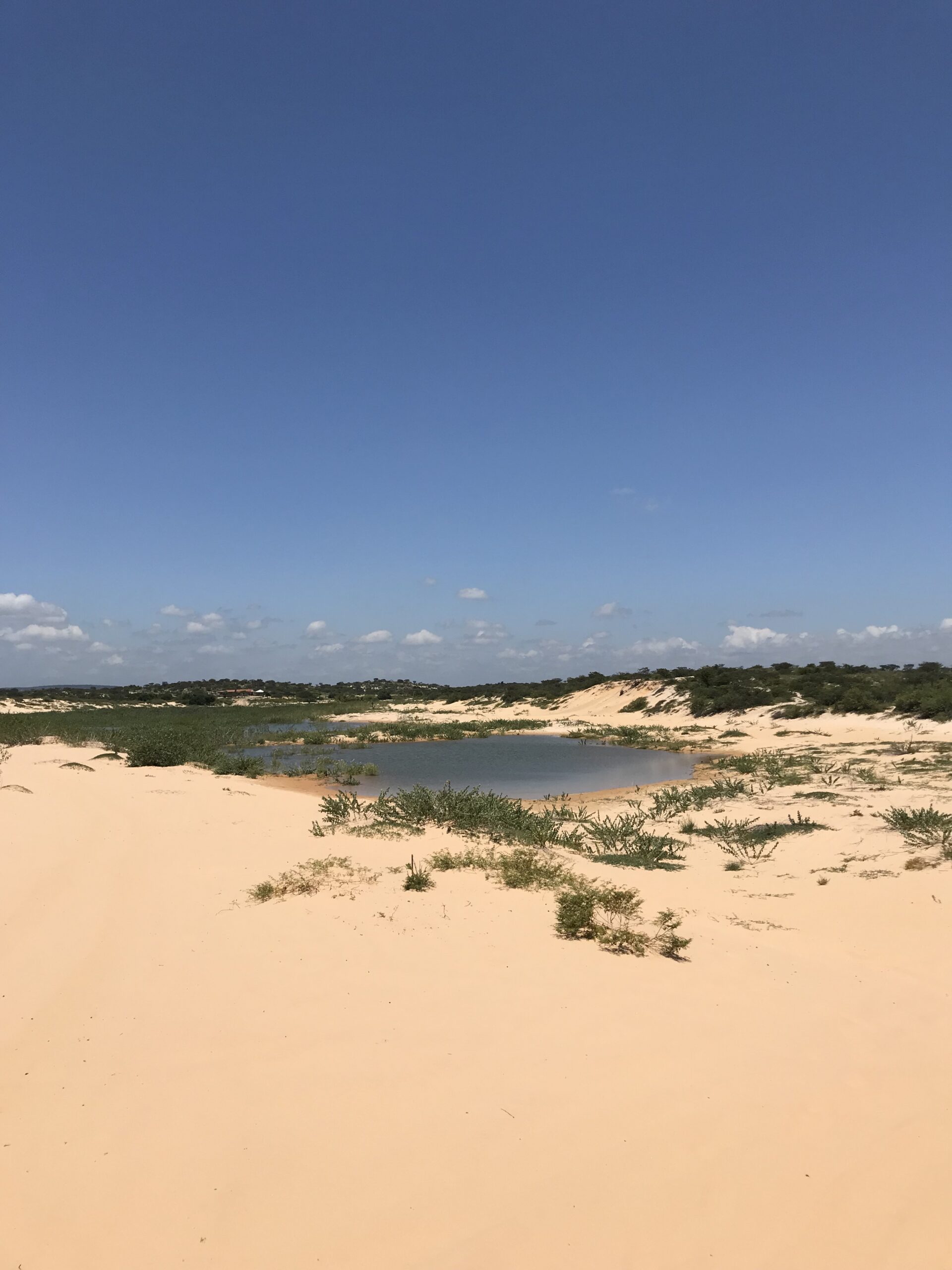 Dunas do velho chico