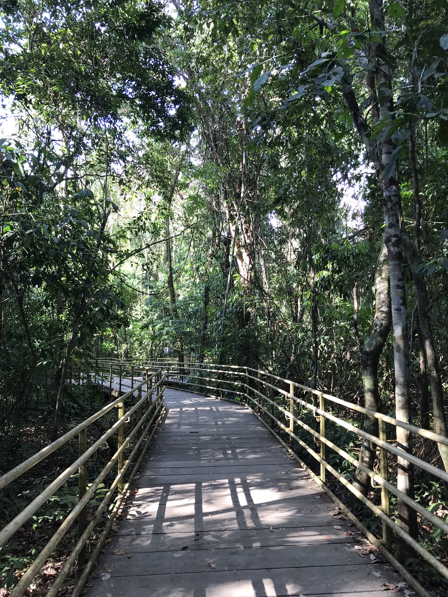 Caminho acessível dentro do Parque Nacional